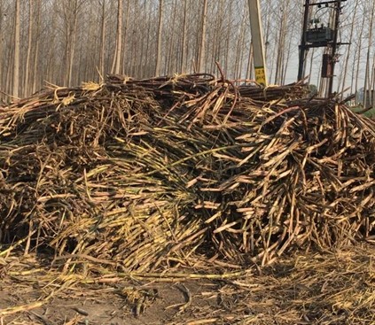 ジャグリー製造方法