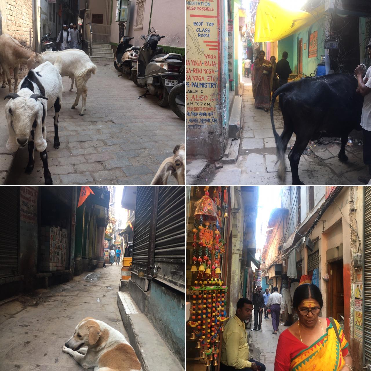 バラナシリサーチ